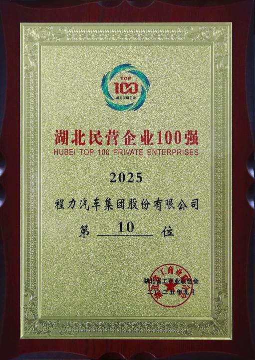 湖北民营企业100强第10位（程力集团2025年度）